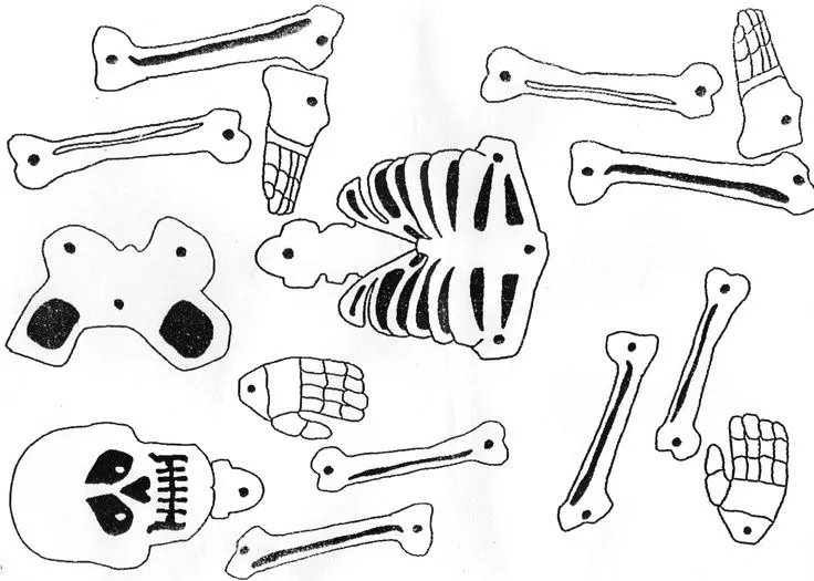 Puzzle de esqueleto. | Esqueletos | Pinterest | Puzzles