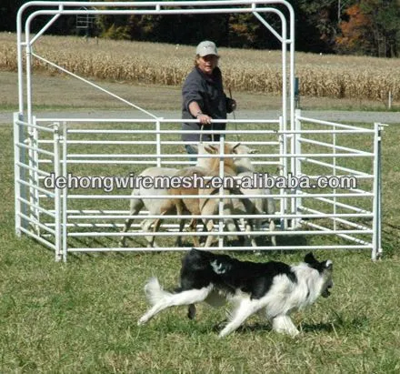 Pvc Coated/plastic Corral Panels Steel Horse/sheep/goat/caw Barns ...