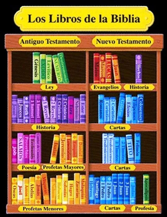 Libros de la biblia cristiana para niños - Imagui