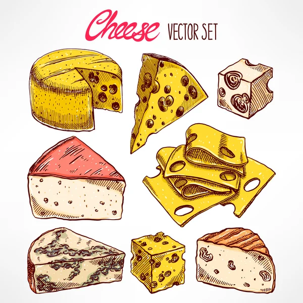 Con quesos dibujados a mano — Vector stock © Grey_ant #73929349