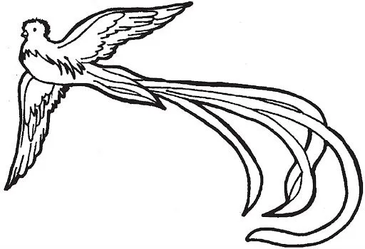 El quetzal para colorear infantil - Imagui