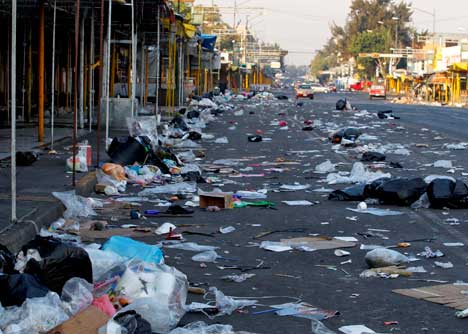 Quiero un mundo verde: México, primer lugar a nivel nacional en ... Quiero un mundo verde: México, primer lugar a nivel nacional en ...