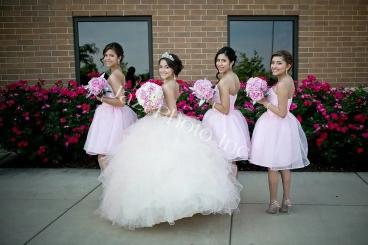 Quinceanera and damas, facing sideways for a photo | Quinceanera ...