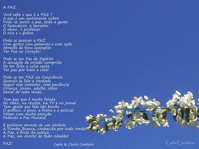 Quinta Flower com poesia e desejo de PAZ... | Flickr - Photo Sharing!