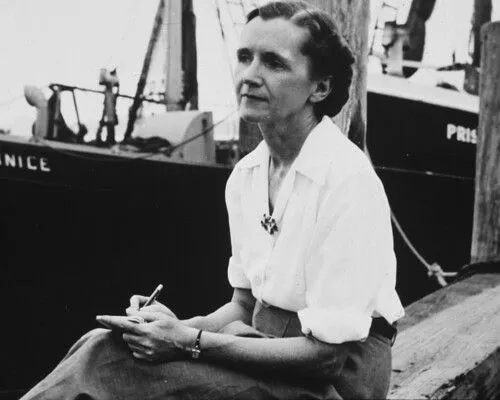 RACHEL LOUISE CARSON" - Social Mention search RACHEL LOUISE CARSON" - Social Mention search