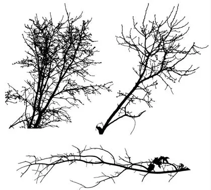 Ramas de árboles en vectores | portafolio blog