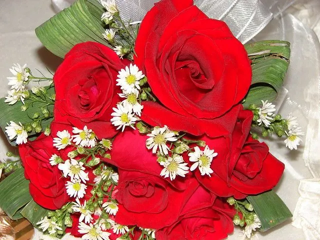 Ramillete de siete flores rojas | Flickr - Photo Sharing! Ramillete de siete flores rojas | Flickr - Photo Sharing!