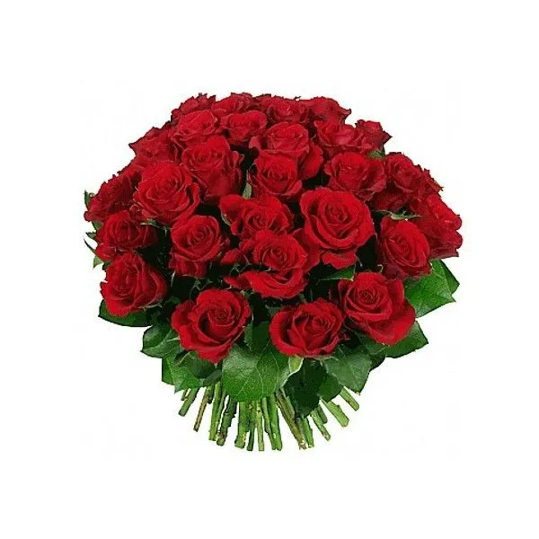 Ramo 25 Rosas Dia de los Enamorados a domicilio