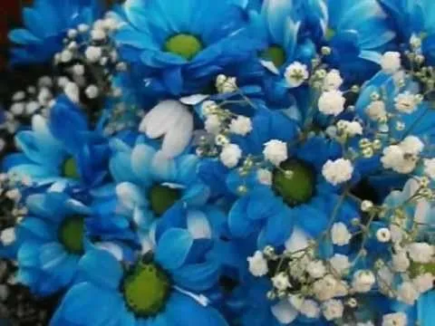 Ramo de margaritas azules con adornos - YouTube