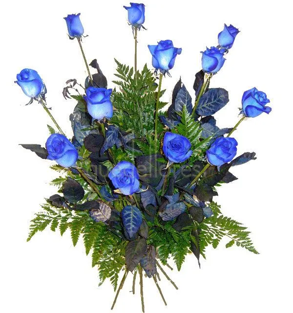 Ramo de rosas azules - tiendaderosas.com - Especialistas en rosas