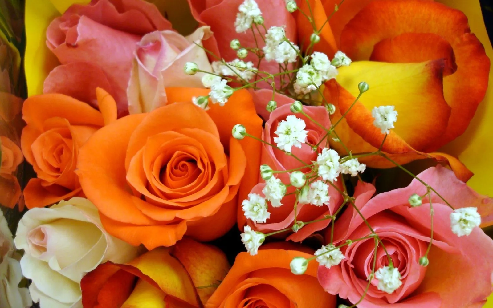 Ramo de rosas de colores :: Imágenes y fotos Ramo de rosas de colores :: Imágenes y fotos