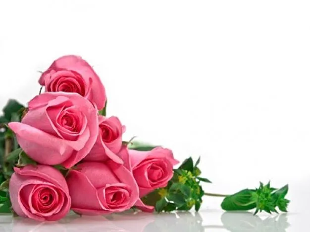 un ramo de rosas rosa Material de imagen | Descargar Fotos gratis
