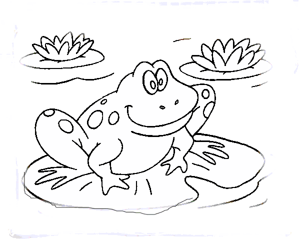 Dibujos de sapos y ranas para colorear - Imagui