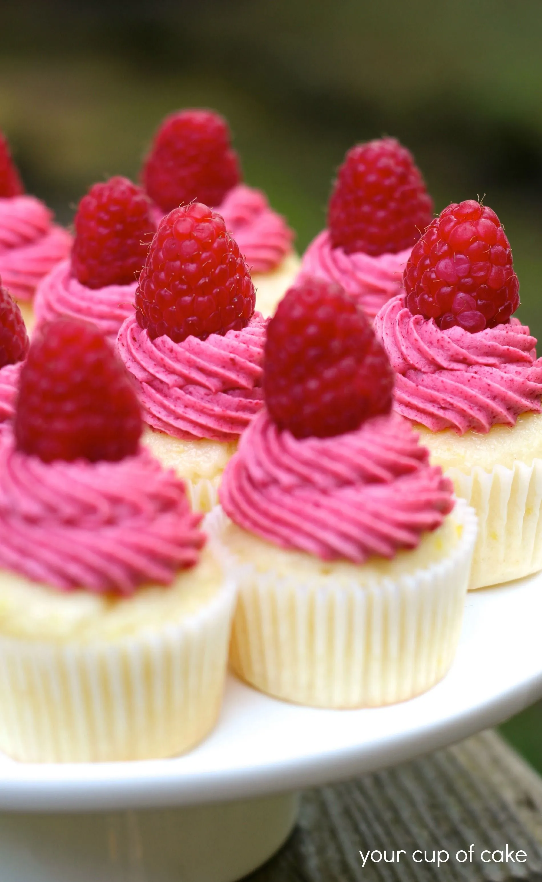 Raspberry Lemonade Mini Cupcakes - Your Cup of Cake Raspberry Lemonade Mini Cupcakes - Your Cup of Cake