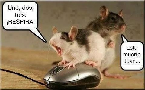 Ratones animados graciosos - Imagui