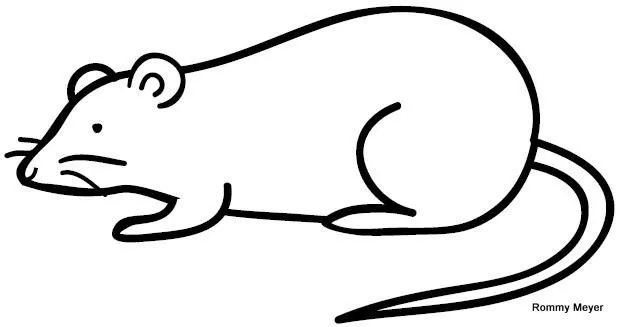 El dibujo de un raton - Imagui