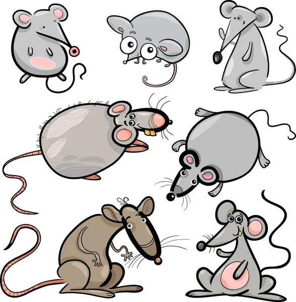 Ratones y ratas conjunto de dibujos animados ilustración — Vector ...