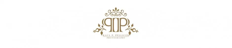 Raúl P. Pellicer Fotografía | fotoperiodismo de bodas. Raúl P. Pellicer Fotografía | fotoperiodismo de bodas.
