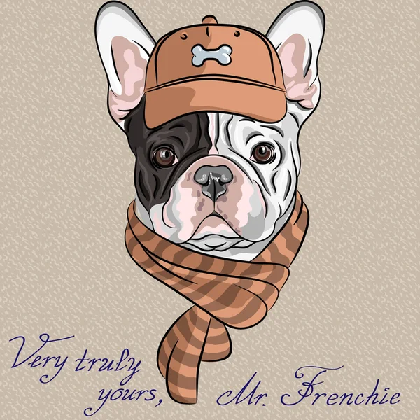 Raza de Vector divertidos dibujos animados hipster perro bulldog ...