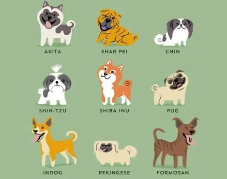 Cuántas razas de perros hay en el mundo? | EROSKI CONSUMER