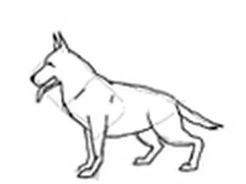 Como dibujar un perro raza Pastor Alemán - Dibujos de perros - YouTube