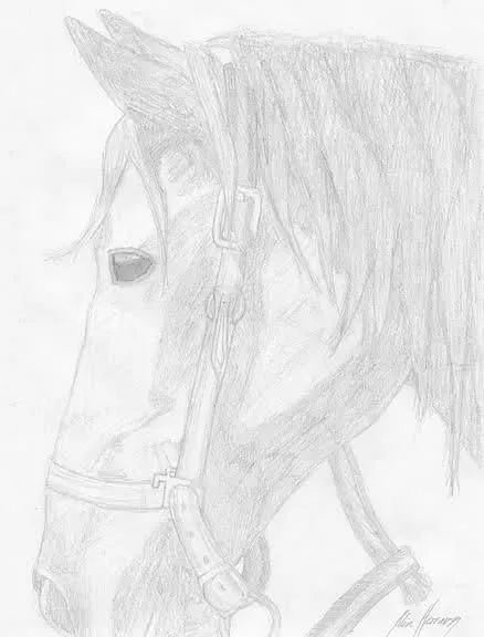 Re: Dibujos de caballos