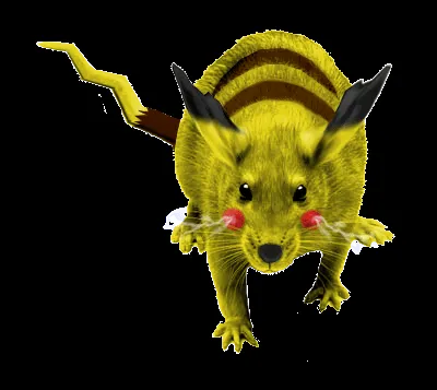 Real Life Pikachu by ~InfinityFangX on deviantART Real Life Pikachu by ~InfinityFangX on deviantART