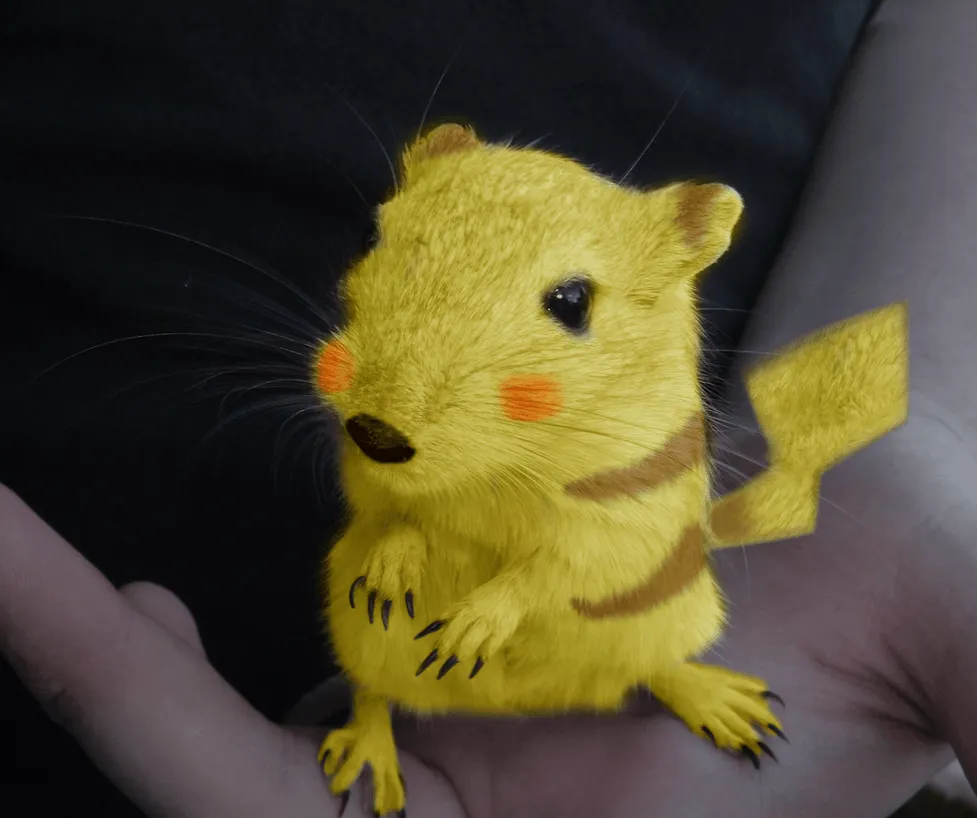 Real Life Pikachu by ~Puff-Dahh on deviantART Real Life Pikachu by ~Puff-Dahh on deviantART