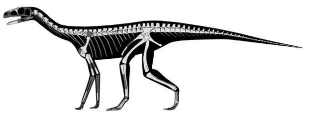 La reconstrucción del esqueleto de Los dinosaurios | Guia de ...