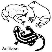 RECURSOS EDUCACION INFANTIL: Vocabulario de ANIMALES RECURSOS EDUCACION INFANTIL: Vocabulario de ANIMALES