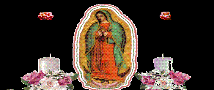 RECURSOS PARA TU FACEBOOK: Portadas de la Virgen de Guadalupe