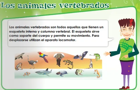 Animales vertebrados - Imagui