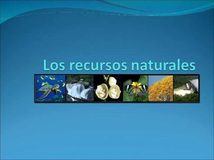 Recursos naturales diapositiva ultimo toq