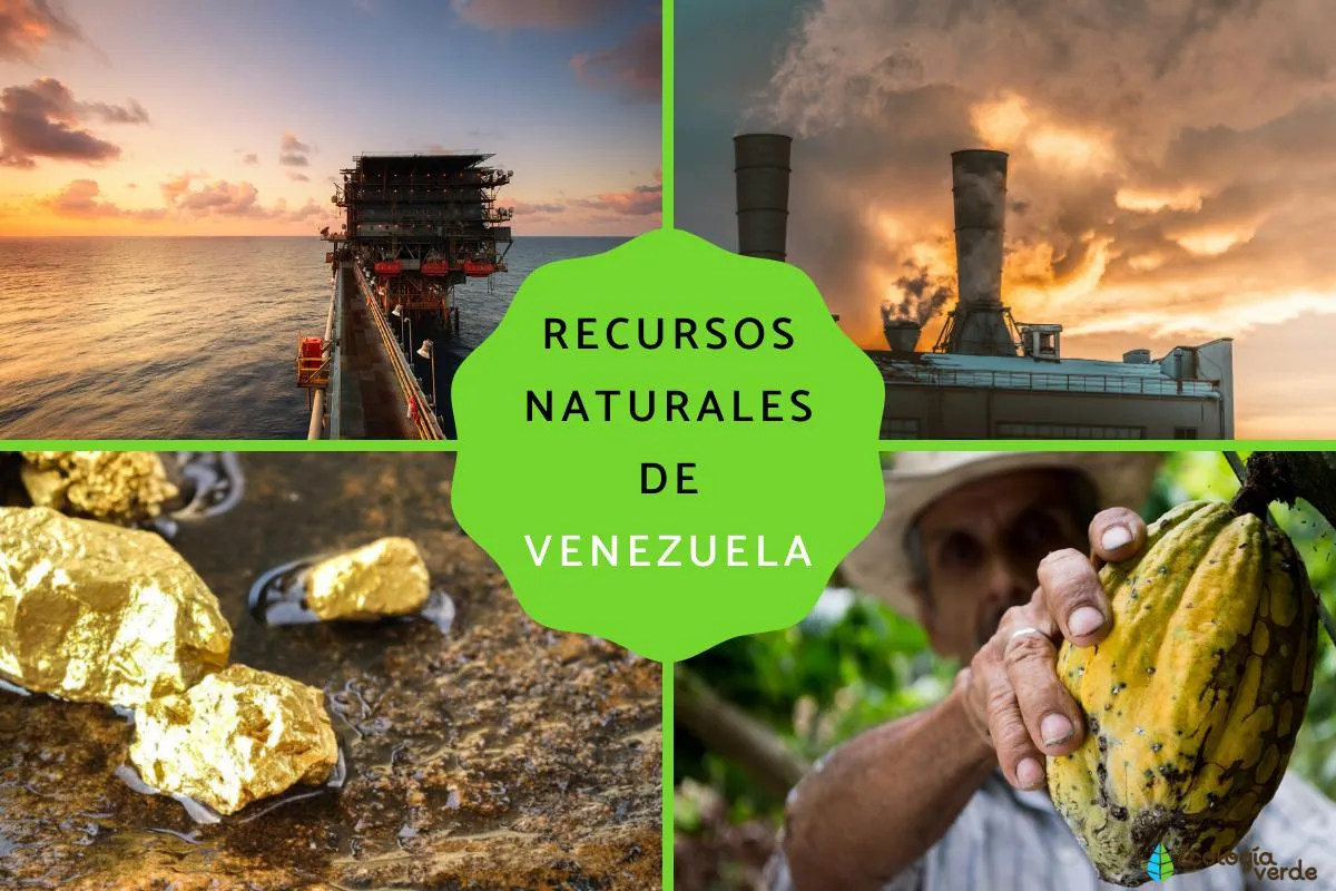 Recursos naturales de Venezuela - Resumen y fotos