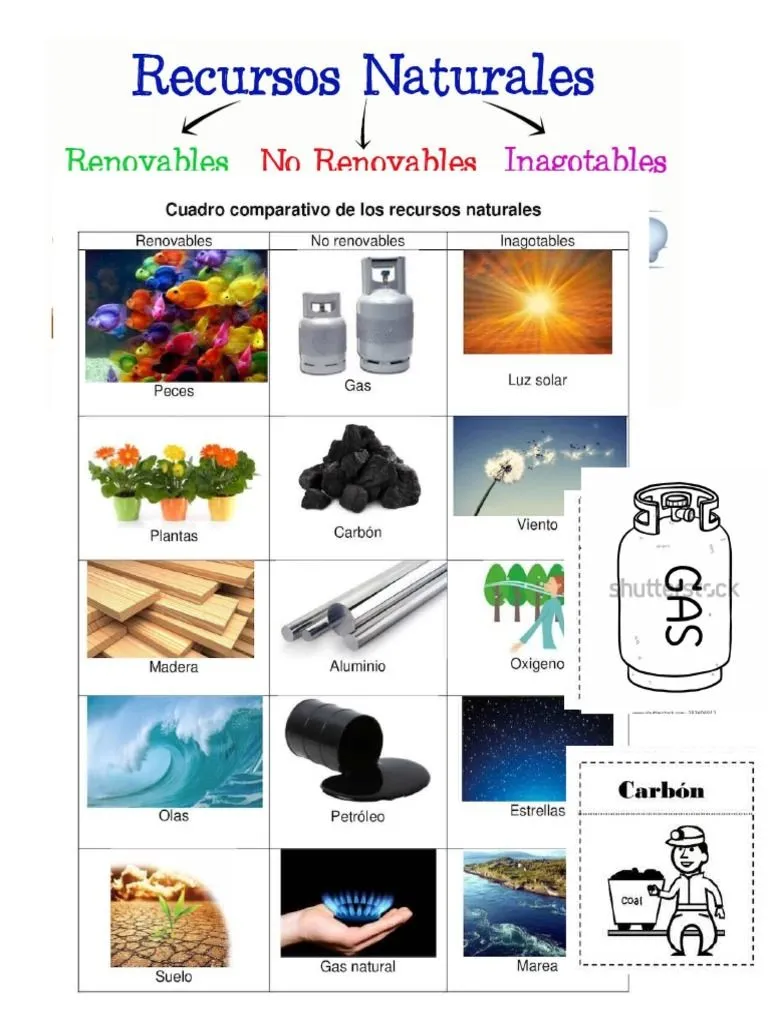 Recursos Renovables y No Renovables para Colorear | PDF
