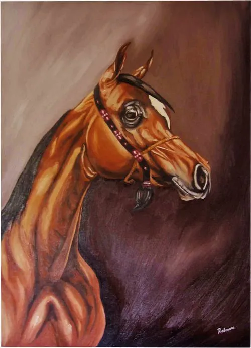 Redouane Lahloul — Oil portraits of Horses Heads / Retratos al ...