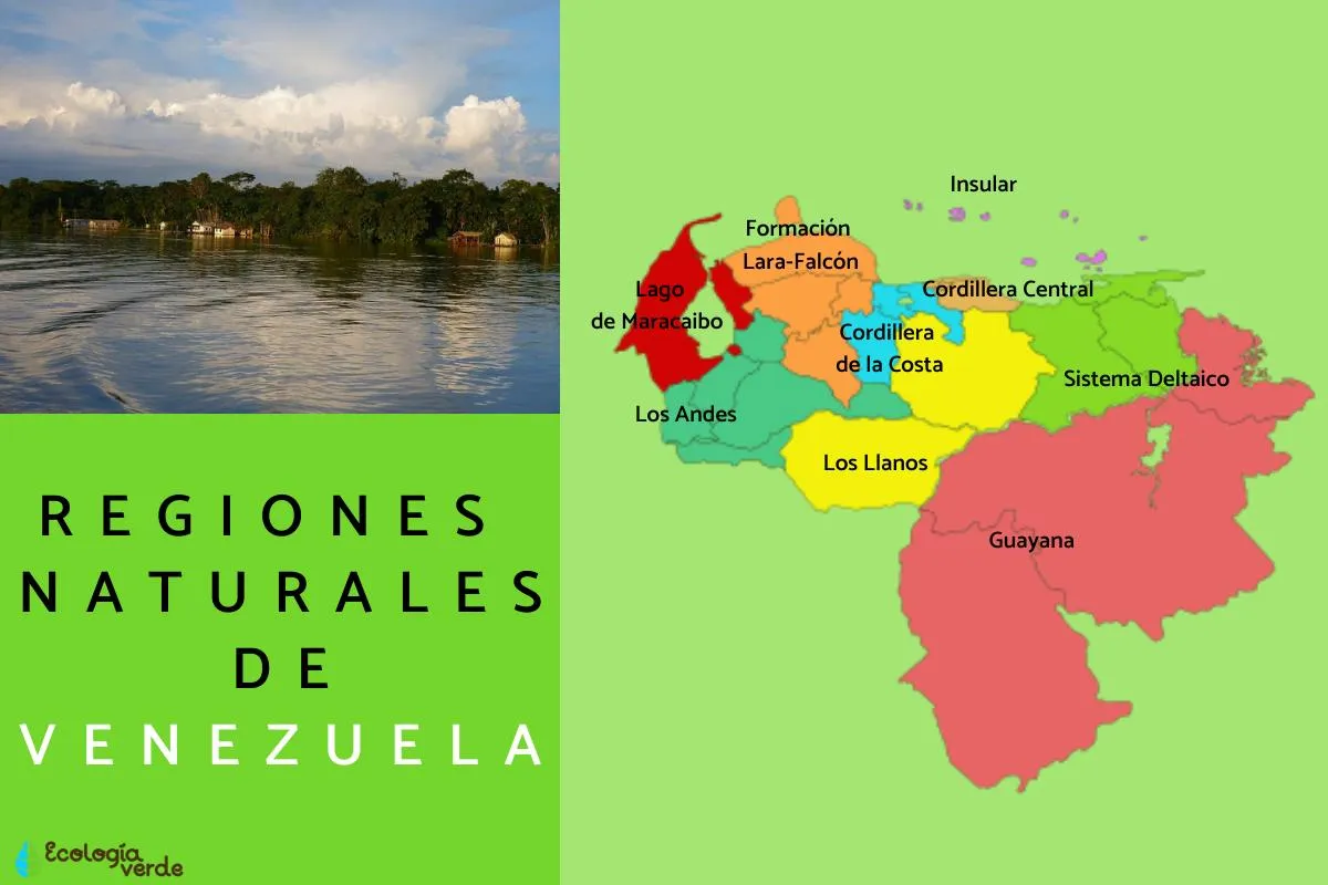 9 regiones naturales de Venezuela - Resumen y mapa