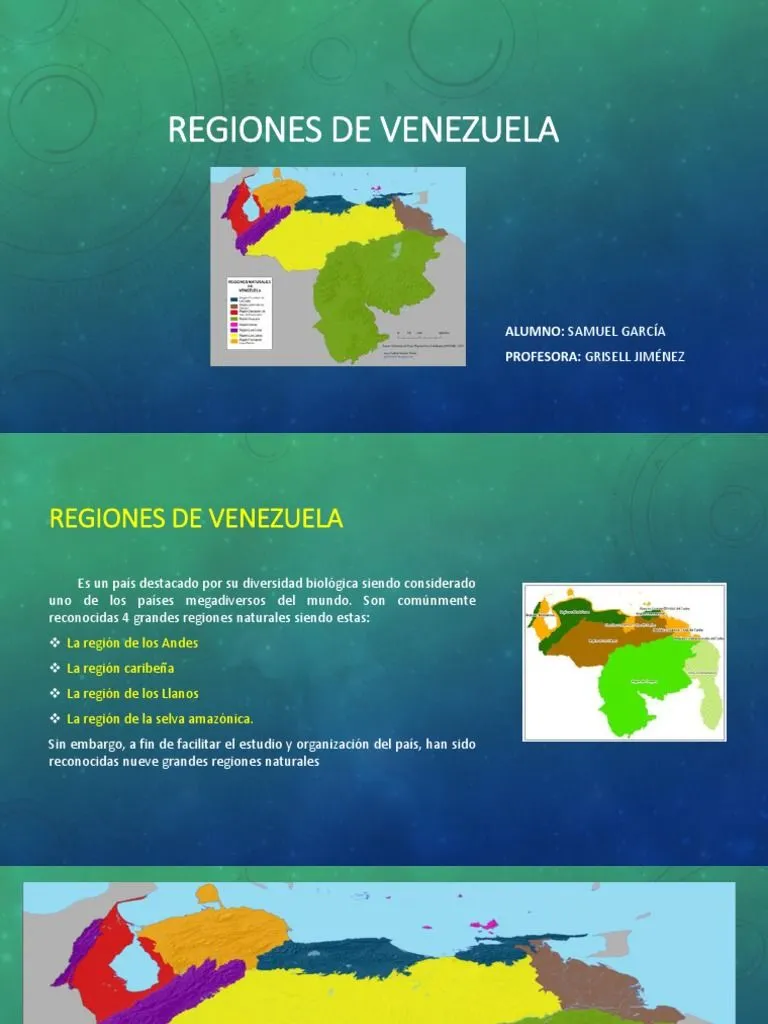 Regiones de Venezuela | PDF | Venezuela | Selva