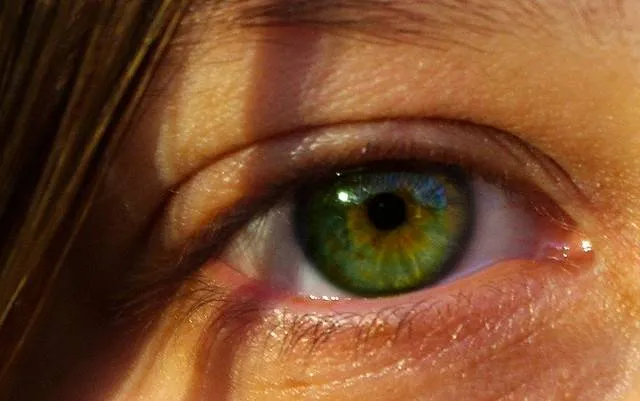 Remedios naturales para los ojos :: Remedios caseros para los ojos