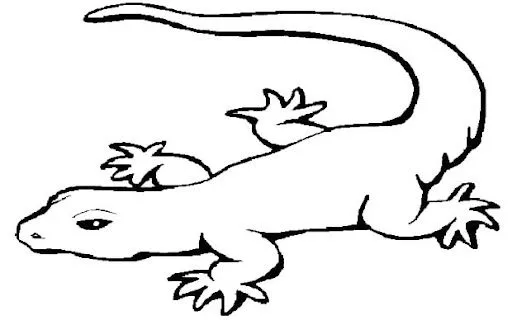Dibujos de reptiles para imprimir y colorear - Imagui