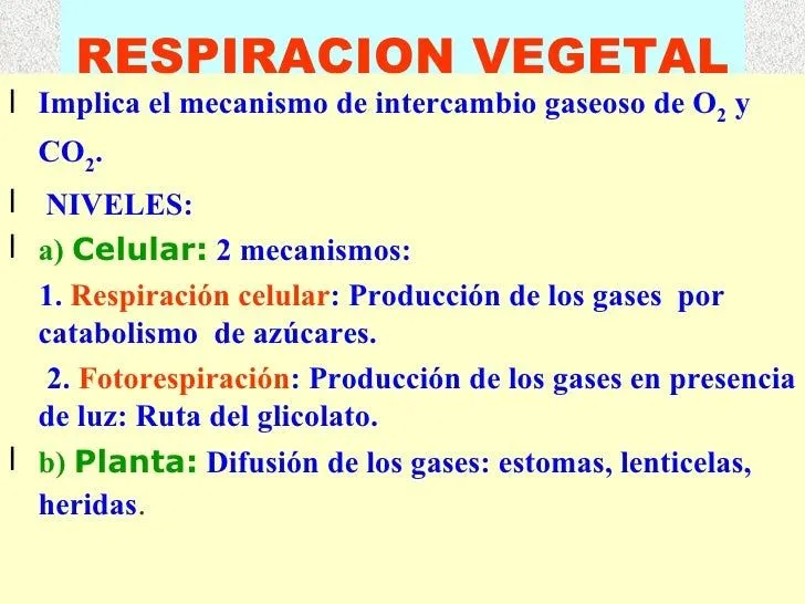 Respiracion Vegetal