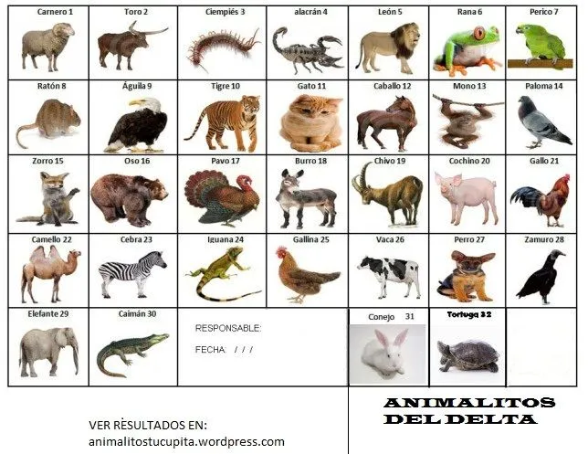 Animalitos de lotería - Imagui
