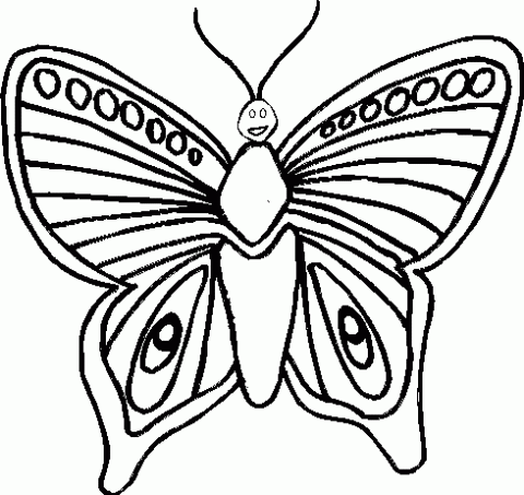Imagenes de mariposas lindas para colorear - Imagui