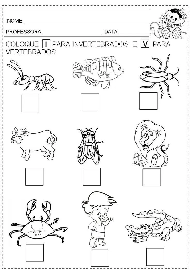 Resultado de imagen para actividades para trabajar animales vertebrados e  invertebrados | Desenhos de pessoas, Animais vertebrados e invertebrados,  Vertebrados