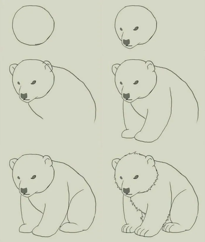 Resultado de imagen para animales en peligro de extincion para colorear oso  polar | Como dibujar animales, Como dibujar un oso, Aprender a dibujar  animales