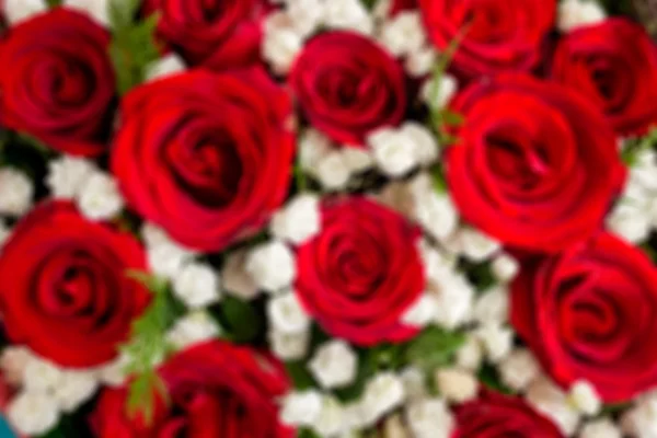 Resumen Blur ramo de rosas rojas y flor blanca en el centro sha ...