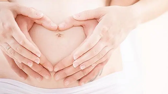 Revelan más pistas sobre cómo el embarazo protege frente al cáncer ...