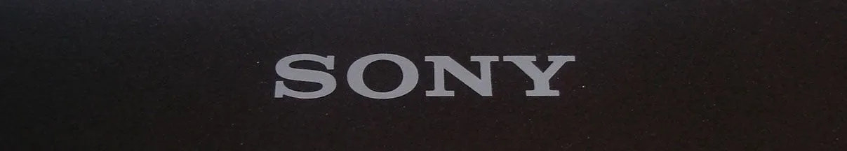 Review Sony Vaio VPC-EB1S1E/BJ Notebook - NotebookCheck.net Reviews