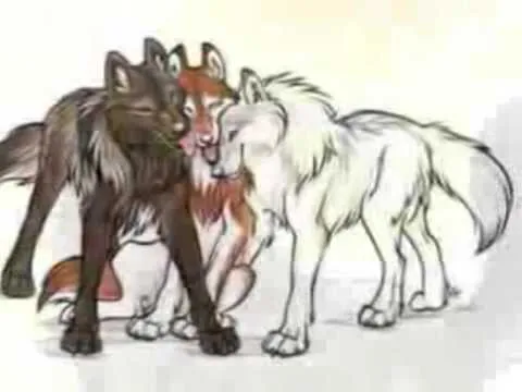 revolution lobos y lobas - YouTube