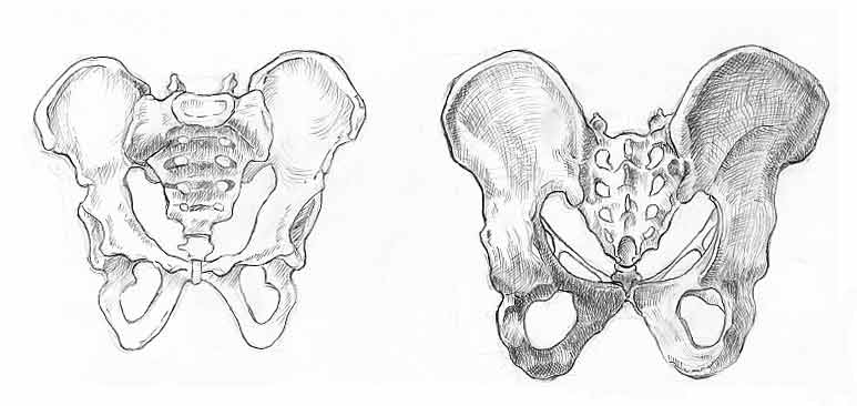 El Rincón de Montse Akane: Lección de Anatomía